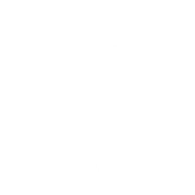Papirlykke_Lea&Robin_grafik_blomster_hvid Papirlykke_Lea&Robin_grafik_blomster_hvid